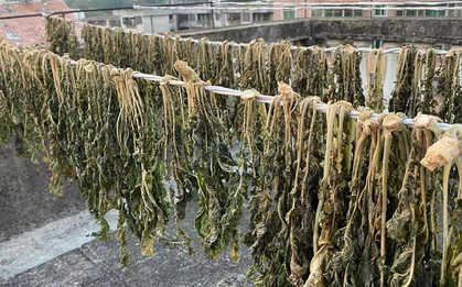 Đừng chỉ ăn củ, lá loại cây này được ví như "chổi quét" tự nhiên cho đường ruột