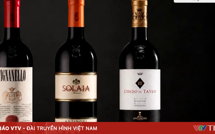 Italy cảnh báo khẩn sau vụ trộm 30.000 chai rượu vang
