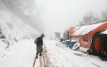 Phát hiện vùng đất miền Trung từng lạnh -8°C, tuyết phủ trắng khiến nhiều người ngỡ lạc vào rừng Bắc Âu