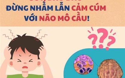 Cúm mùa và não mô cầu đều có thể gây sốt cao đột ngột: Bác sĩ Trương Hữu Khanh chỉ cách phân biệt 2 bệnh