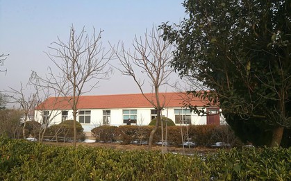 Vì sao ngày càng ít học sinh về thăm lại thầy cô giáo cũ vào những dịp lễ tết?
