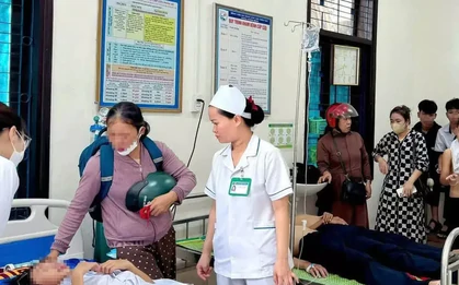 27 học sinh nhập viện do ong tấn công