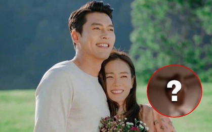 Ảnh phản chiếu làm lộ diện mạo thật của con trai Son Ye Jin - Hyun Bin