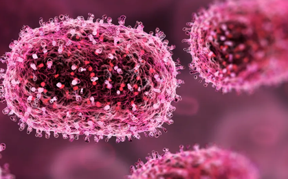 Pháp xác nhận trường hợp đầu tiên tử vong do nhiễm virus Shamonda