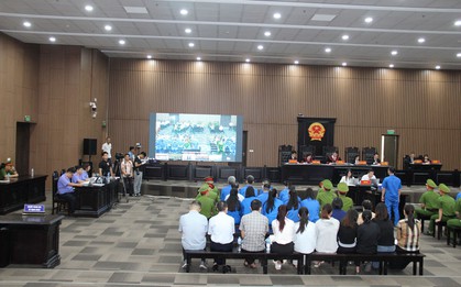 Nhân viên của Mr Pips khai lý do bất ngờ không kêu gọi được người thân đầu tư