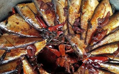 Loại cá bình dân được chuyên gia Mỹ ca ngợi "tốt hơn cá hồi", giá chỉ vài chục nghìn/kg