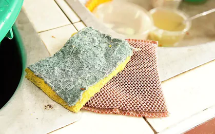 Tất cả các gia đình đang dùng miếng bọt biển rửa bát xin chú ý!