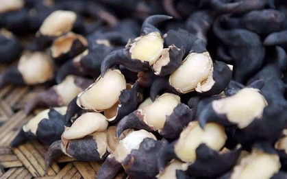 Vào mùa thu, đừng chỉ ăn củ sen, đây mới là "kho báu dinh dưỡng" quen thuộc của người Việt