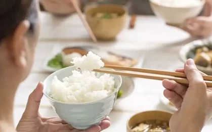 Lời khuyên cho những gia đình dùng bát sứ ăn cơm mỗi ngày