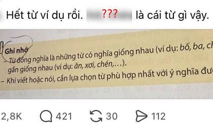Lên mạng thắc mắc 1 câu, cô gái khiến nhiều người ngỡ ngàng: Hai từ Tiếng Việt này mà cũng không biết?