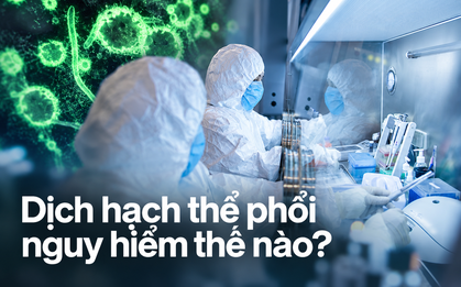Nữ kỹ thuật viên ở Nga tử vong trong phòng thí nghiệm, gần 200 người được theo dõi: Bệnh dịch hạch thể phổi nguy hiểm đến mức nào?