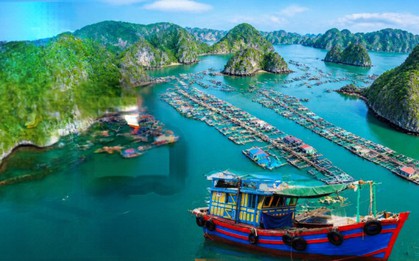 Việt Nam có làng chài lâu hơn kim tự tháp Ai Cập: Đào lên được 88 đầu cá biển, giờ vẫn 300 hộ sống trên mặt nước