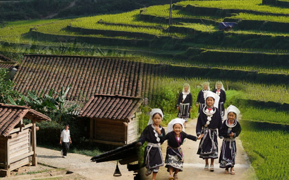Phát hiện Quán nhà Haha ở nơi có 34 hộ dân, cao gần 1.000 m, giữ hàng trăm đàn ong tổ to bằng manh chiếu mà không lấy mật