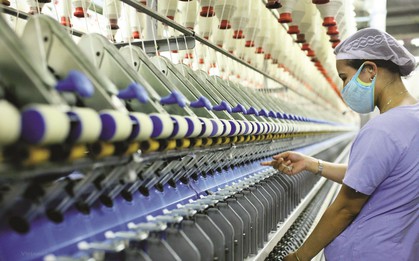 "Mỏ vàng" nào đưa Việt Nam chạm mốc gần 40 tỷ USD, khiến Mỹ chi hơn 17 tỷ USD mỗi năm?