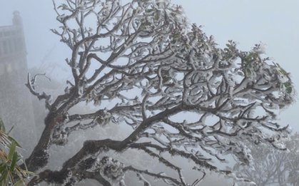 Miền Bắc đón đợt không khí lạnh mạnh bao phủ, khi nào rét đậm đạt đỉnh?