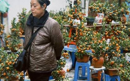 Chợ hoa cổ nhất Hà Nội ngày 23 tháng Chạp: Quất chum, quất mini "chiếm sóng", đào khủng vắng bóng, người xem nhiều hơn người mua