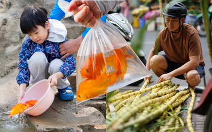 Mía chằng kín xe máy, cá chép đỏ rực bến sông: TP.HCM - Hà Nội rộn ràng tiễn ông Công ông Táo ngày 23 tháng Chạp