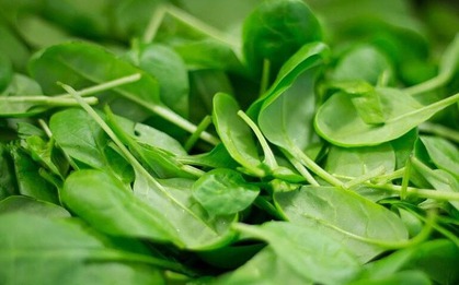 Đi chợ Tết mua rau, thận trọng với 3 loại này, người bán chưa chắc đã dám ăn