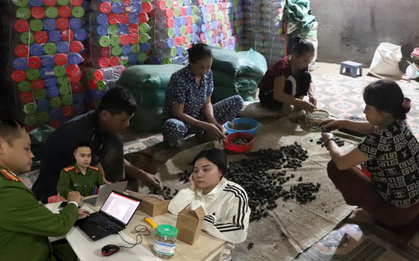 Đồng loạt khám xét 6 địa điểm ở 2 tỉnh trong chuyên án thuốc giả quy mô lớn, bắt Đoàn Thị Lam SN 1972