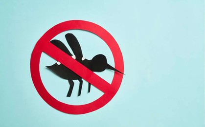 Sốt xuất huyết và tay chân miệng tại TP Hồ Chí Minh giảm mạnh