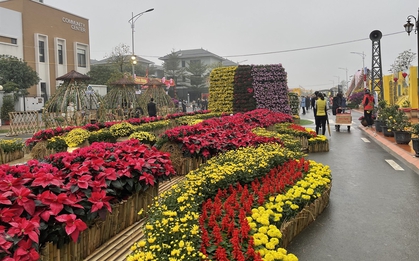 Hà Nội sẽ có thêm đường hoa đúng Tết năm nay: Lần đầu diễn ra tại Di sản UNESCO