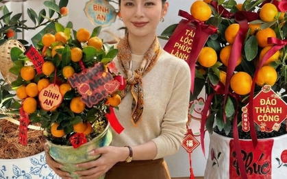 Chưa rinh chậu quất này coi như Tết vơi đi một nửa: Nhỏ thôi nhưng "gánh" trọn không khí xuân trong nhà