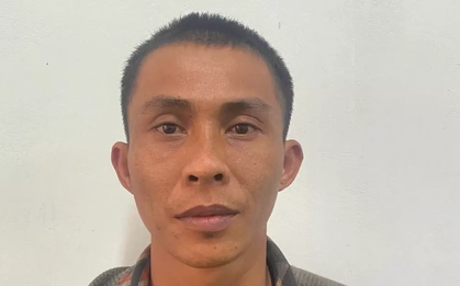 Lừa bán cây cảnh giá rẻ, chiếm đoạt tiền tỷ