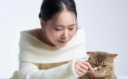 Khách sạn chó mèo "cháy phòng" dịp Tết , chủ chi tiền triệu gửi thú cưng