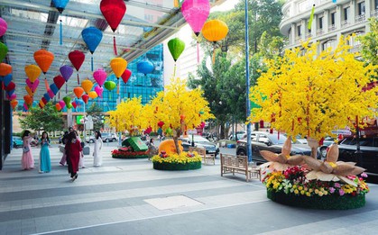 Chợ Lớn giáp Tết: Tìm phong vị cũ, check-in Phố Mai rực rỡ sắc xuân