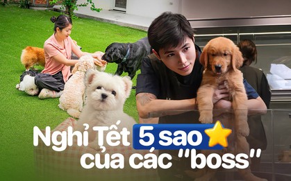 Thú cưng đi nghỉ Tết ở resort cao cấp, có “quản gia” phục vụ cả ngày: Phụ thu 35%, chủ vẫn chi tiền