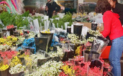 Cập nhật giá cả hoa ngày 28 Tết: Tuyết mai rẻ bất ngờ, cúc đẹp “đỉnh cao”, mộc lan trở thành hot trend