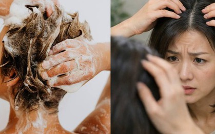 Gội đầu không đúng có thể đẩy nhanh quá trình tóc bạc! Các chuyên gia tiết lộ các bước gội đầu đúng cách