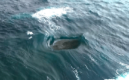 Con sóng "điên rồ" đến mức vô lý ở Tây Úc