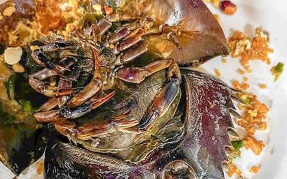 Ăn sò, ốc, sam, nhiều người nghi ngộ độc phải cấp cứu