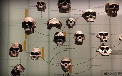 Dòng dõi ma là gì? Liệu nó có trong ADN của bạn và tôi không?