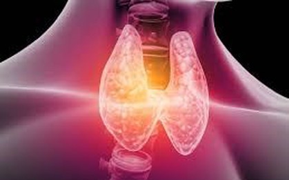 Nhiều người đi siêu âm phát hiện có nang giáp, bác sĩ chỉ ngay 5 dấu hiệu cảnh báo cần đi khám lại ngay lập tức