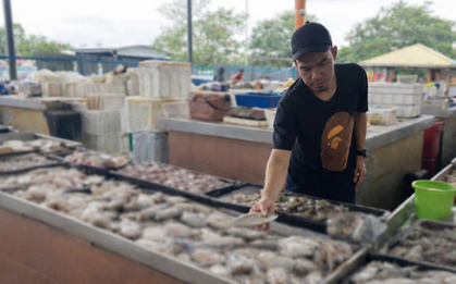 Bé gái nhận nhầm người bán cá là bố, về nhà kể lại khiến cả gia đình bàng hoàng, bí mật chôn vùi 42 năm bị hé lộ