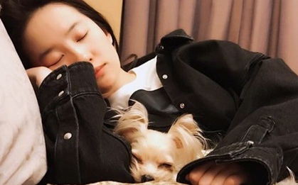 Bạn còn 3 ngày để ngủ 8 tiếng vẫn giảm 8kg như Lưu Diệc Phi