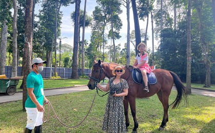 Du khách xếp hàng cưỡi 'tuấn mã'