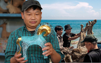 Cận cảnh "báu vật" bất ngờ lộ diện từ những cành củi khô dạt vào bờ biển Hội An sau mưa lũ