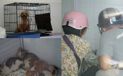 Cảnh tượng không tưởng ở Công an phường Tân Hưng: Người dân liên tục tìm đến nhận diện chó mèo bị mất, chuyện gì vậy?