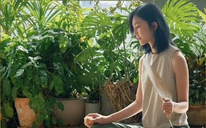 Người càng thông minh càng “lạnh”: 3 việc không quản, 4 điều không nói, 5 kiểu không giúp để sống nhẹ đầu, bền phúc