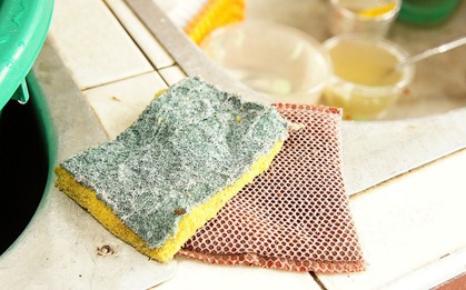 Sự thật cay đắng: 7 thứ càng giữ càng bẩn nhà, thậm chí "mời gọi" ung thư