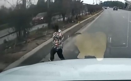 Clip bé trai chạy băng qua cao tốc khiến ô tô phanh “cháy bánh”