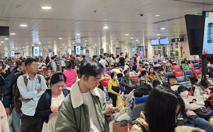 Hôm nay hơn 1.000 chuyến bay tới Tân Sơn Nhất, khách cao nhất 10 năm qua