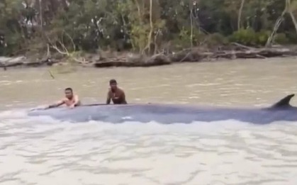 Đi đánh cá, ngư dân phát hiện thứ khổng lồ dài 15 mét nổi trên sông