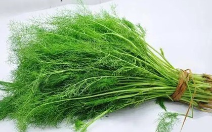 Rau thì là có gây suy thận? Các bác sĩ cảnh báo: Để tránh tổn thương thận, hãy ăn ít 3 loại rau này