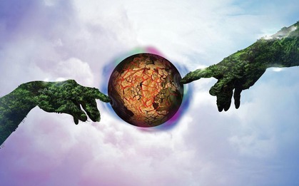 Đừng vội tin vào mắt mình, hàng ngàn loài động vật đang đội lốt nhau để che giấu thân phận thật sự