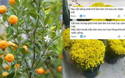 Chớ dại mà tận dụng những thứ này sau Tết kẻo ngộ độc, rước họa vào thân