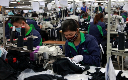 Bộ Nội vụ: 77% doanh nghiệp sẽ tuyển thêm nhân sự, dự báo 4 ngành nghề tăng mức tuyển dụng mạnh nhất 2026